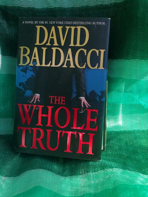 The Whole Truth Novel by David Baldacci