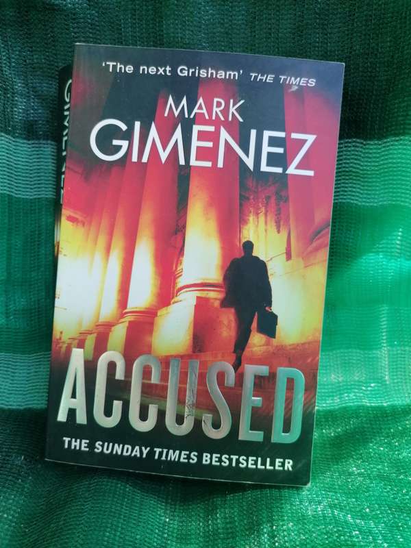 Accused Book by Mark Gimenez