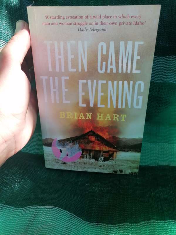 Then Came the Evening: A Novel Novel by Brian Hart