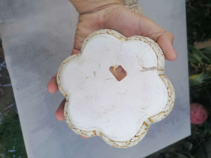 Floral Carved Pumpkin/Gourd Jewelry/Trinket Box by Ivory Dynasty