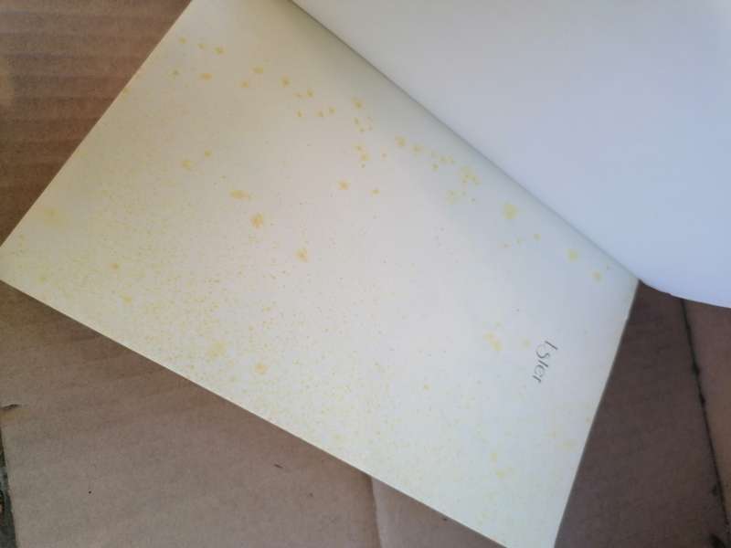 Ester Book by Kerneels Breytenbach