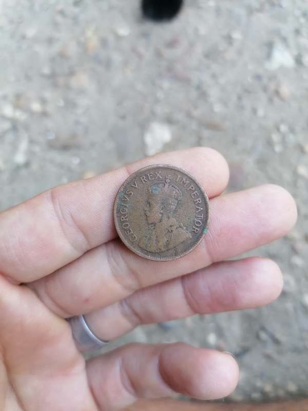 Rare find 1924 south african 1/2 penny with low mintage of 64165