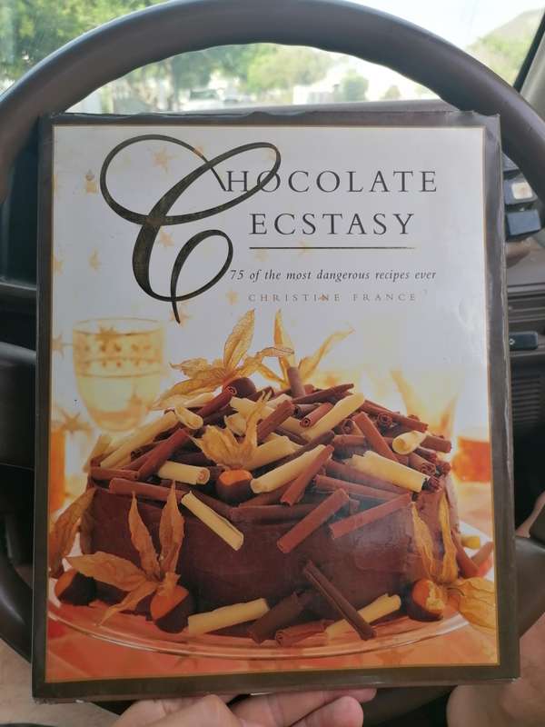 Chocolate Ecstasy: 75 of the Most Dangerous Recipes Ever Book by Christine France