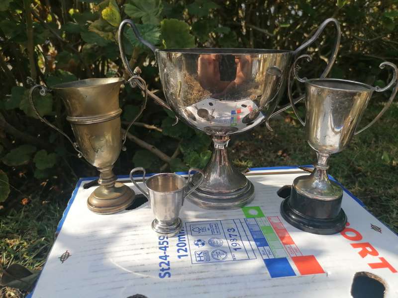 Joblot trophy's
