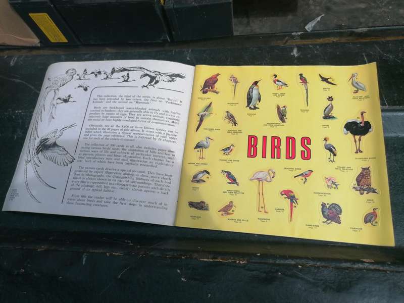 Pepsi birds book