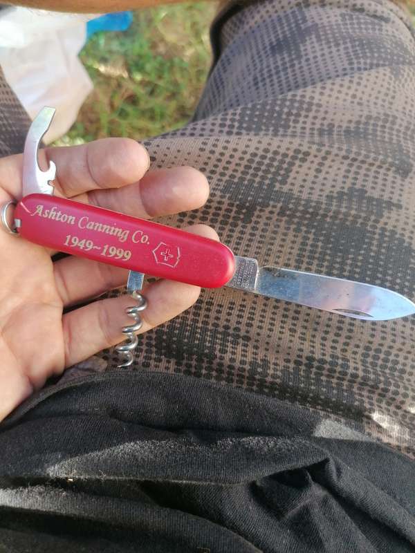 Victorinox Swiss Knife Ashton canning Co 1949-1999