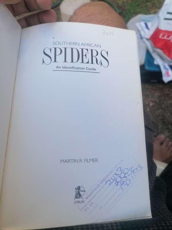 Southern African Spiders - An Identification Guide