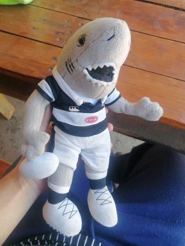 Canterbury Sharks South Africa Rugby Union Mascot Plush