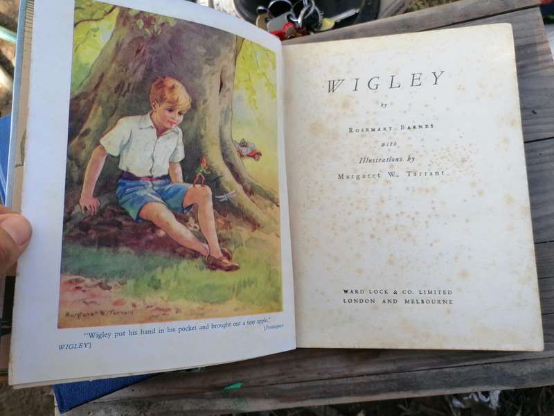 WIGLEY By Rosemary Barnes