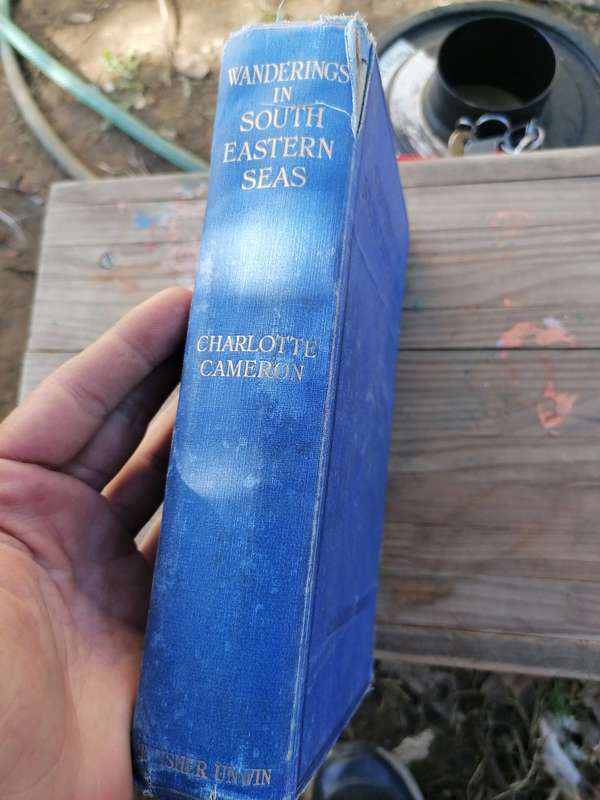 WANDERINGS IN SOUTH-EASTERN SEAS (hard cover) Cameron, Charlotte 1924 first edition