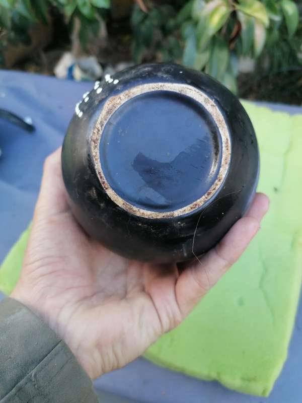 Small fifties vintage jug model. Have a small chip as per picture