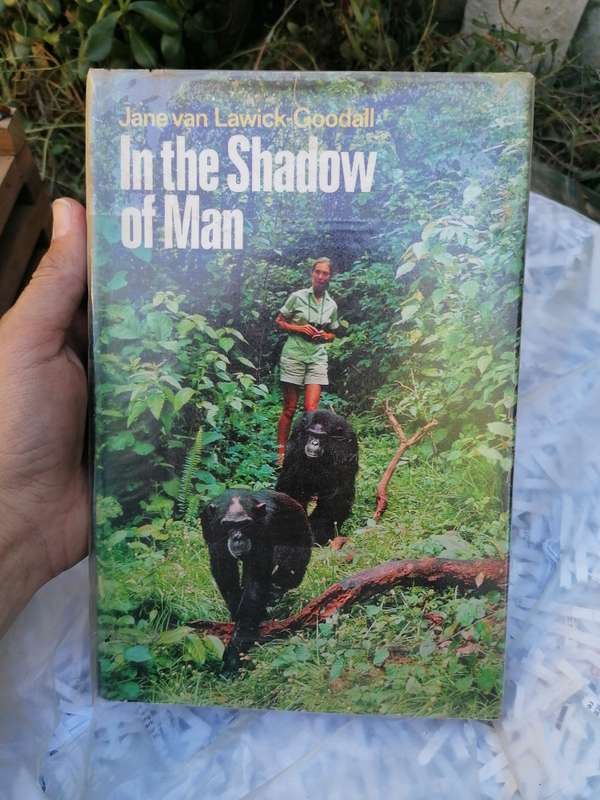 In the Shadow of Man