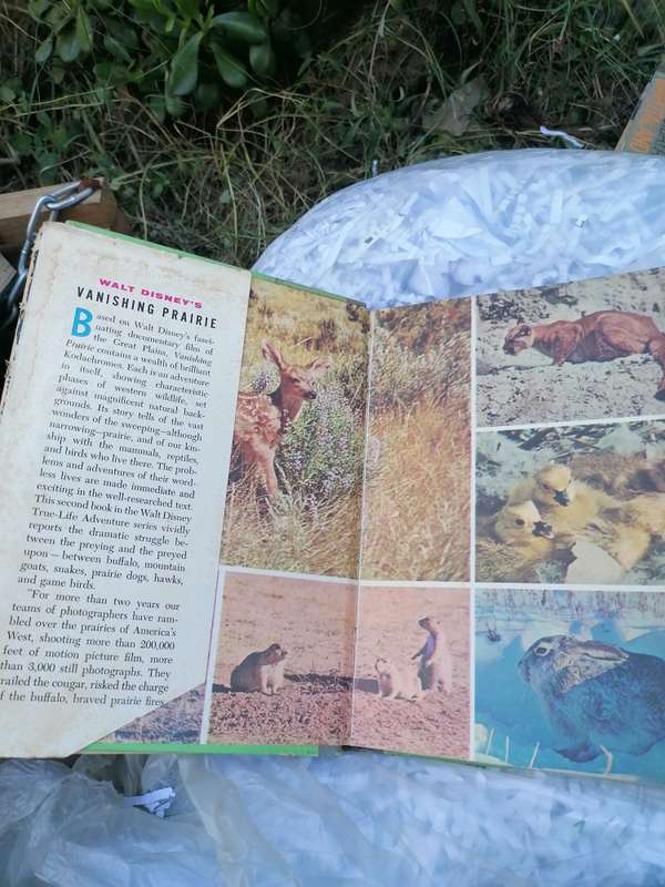 WALT DISNEY - 1955 VANISHING PRARIE - TRUE LIFE ADVENTURE