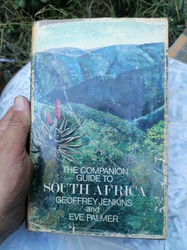 The Companion Guide to South Africa (Hardcover)