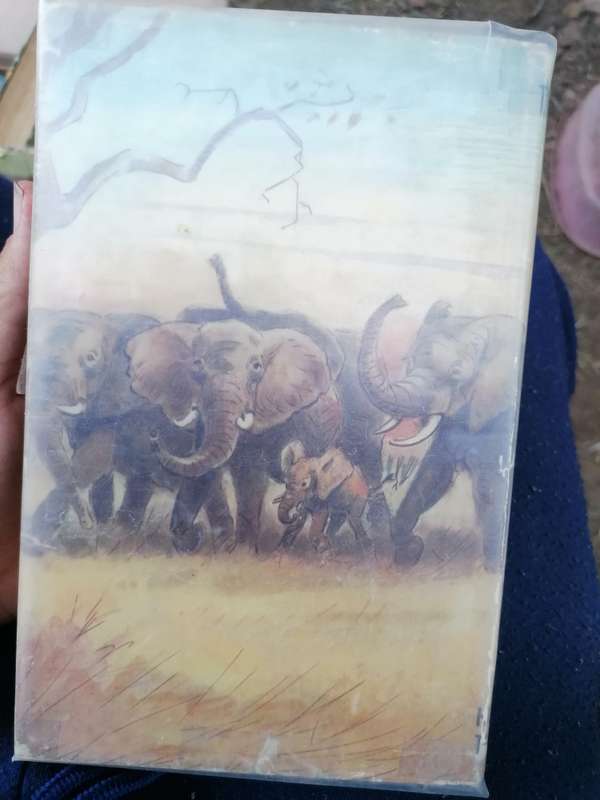 The ivory trail by T. V BULPIN 1954