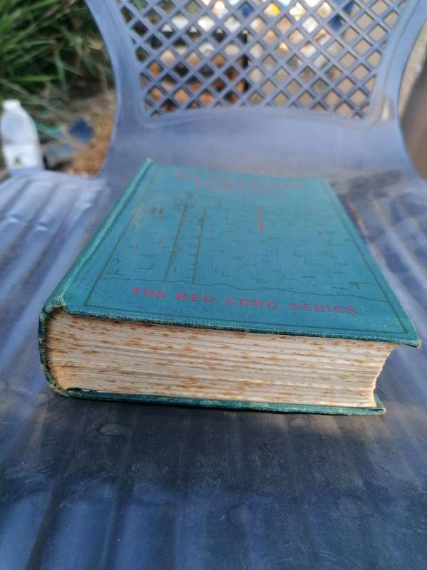 the Shepherds darling by Brenda the red cord series book