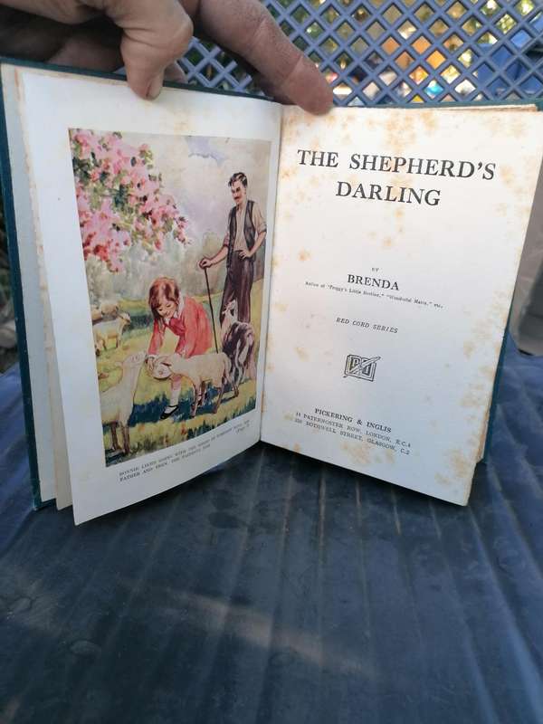 the Shepherds darling by Brenda the red cord series book