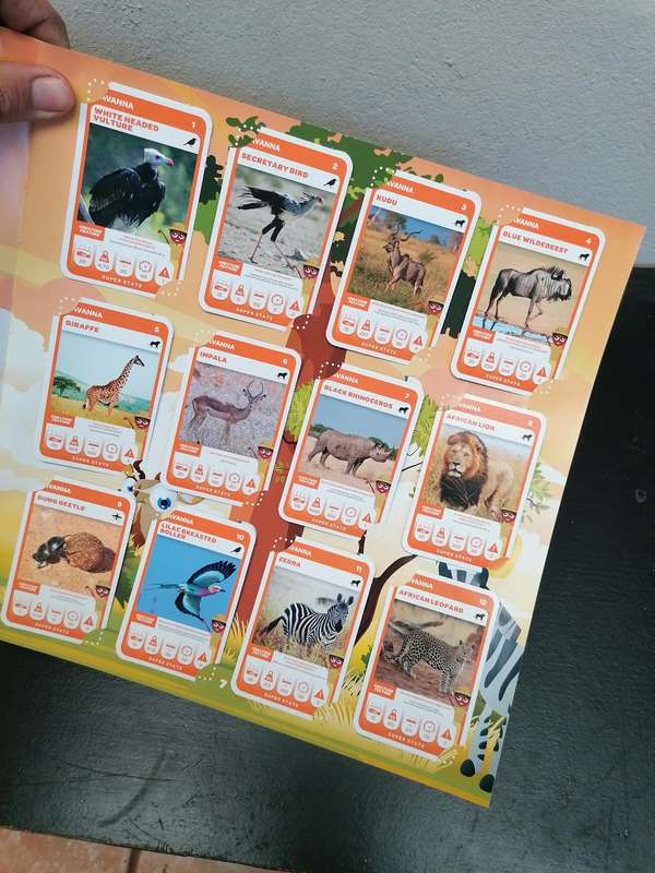 South African Super Animals - Complete Cards Collection in Album
