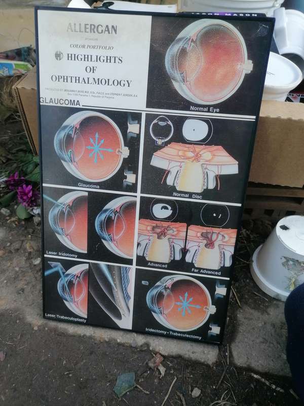 ALLERGAN  COLOR PORTFOLIO  HIGHLIGHTS OF OPHTHALMOLOGY
