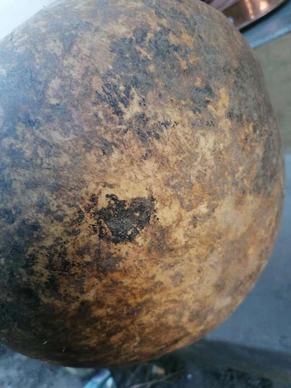 Antique african container