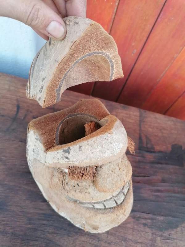 Handmade Carving Man's face Coconut Head