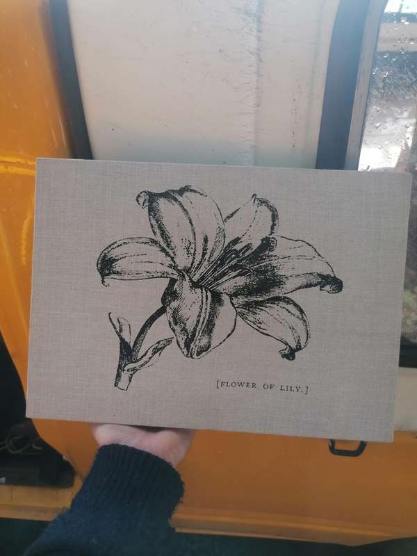 Flower on canvas print