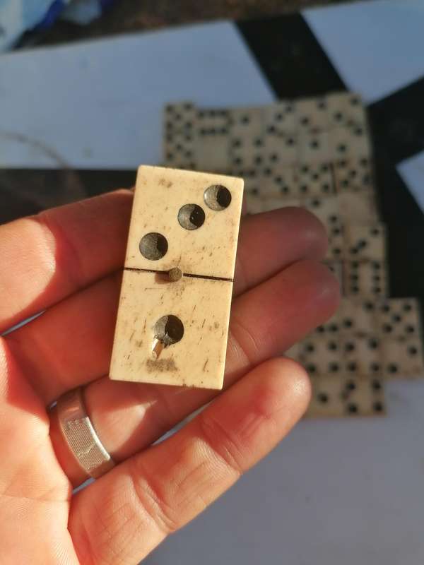 Rare find Antique 19thC Hand Carved Bone Ebony Brass Pins Domino Set, 28 Pieces