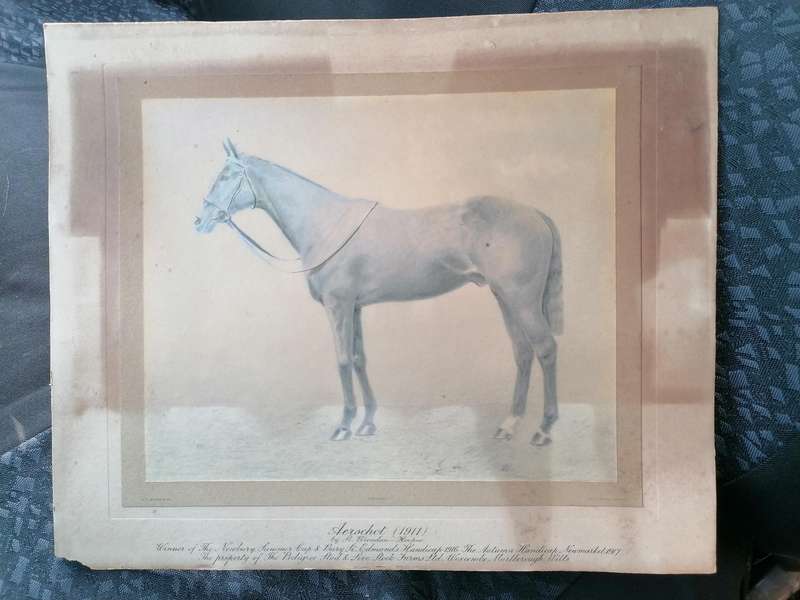 Antique horse racing picture