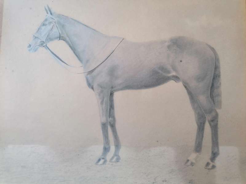 Antique horse racing picture
