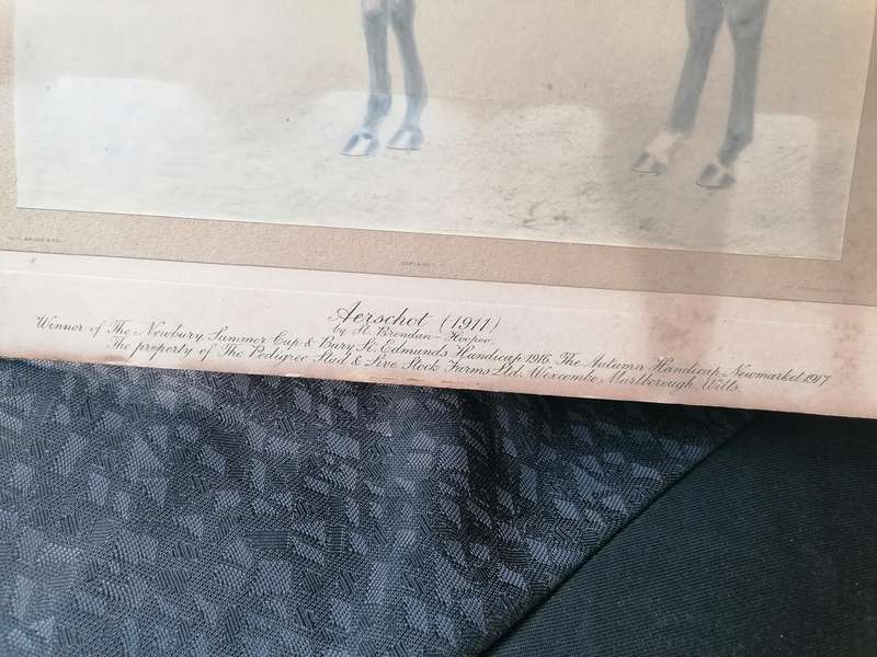 Antique horse racing picture