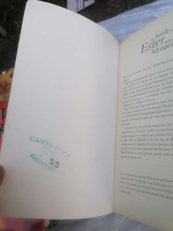 Die Boek Van Ester by Wilna Adriaanse (