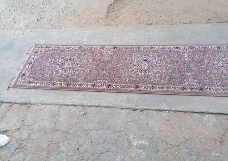 Lovely halway runner