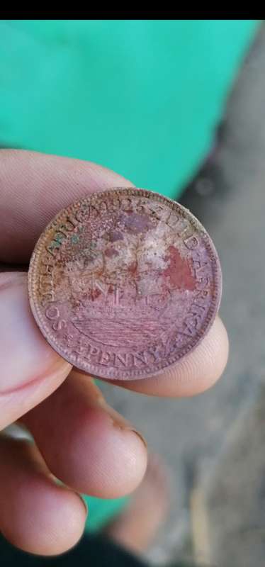 VERY RARE FIND 1925 ZUID-AFRIKA 1/2 PENNY