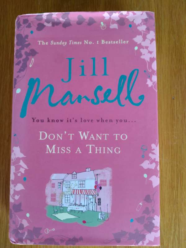 Don't Want To Miss A Thing By Jill Mansell