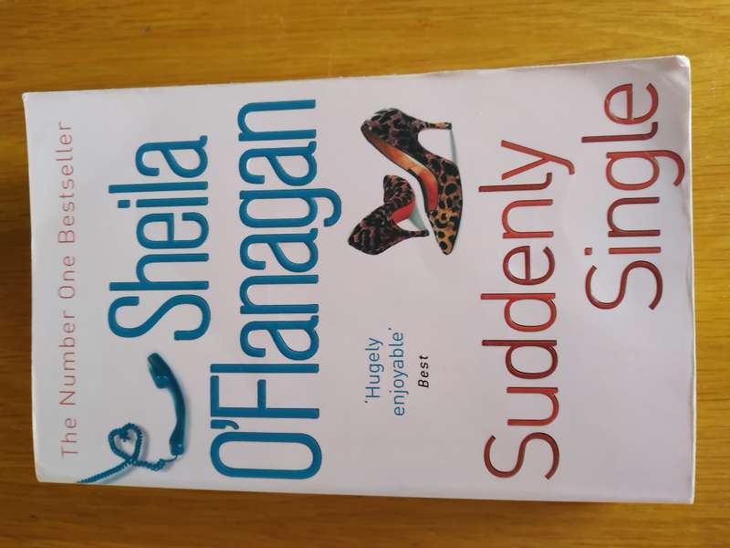 Suddenly Single By Sheila O'Flanagan