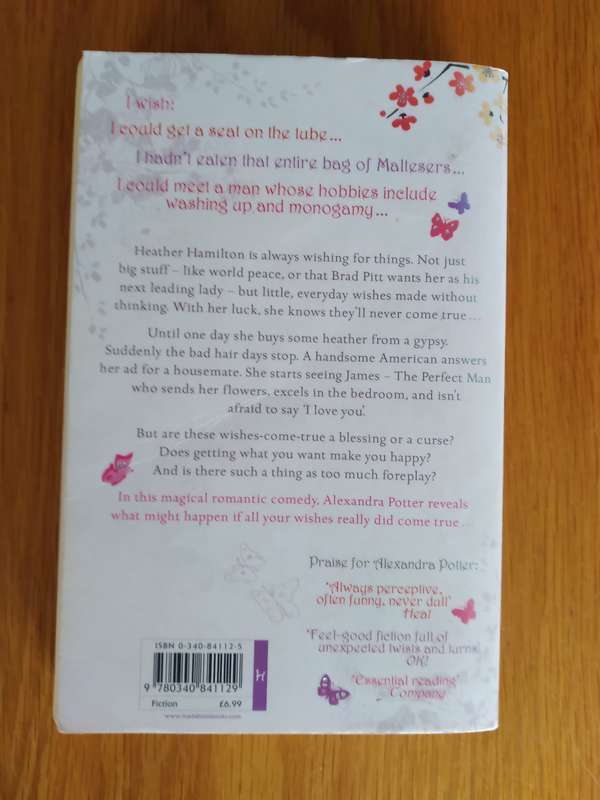 Be Careful What You Wish For By Alexandra Potter