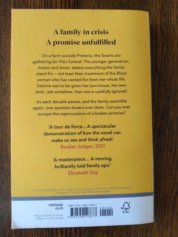 The Promise By Damon Galgut