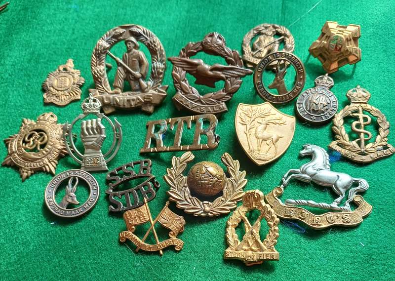 Selection of 18 Military badges, most missing lugs