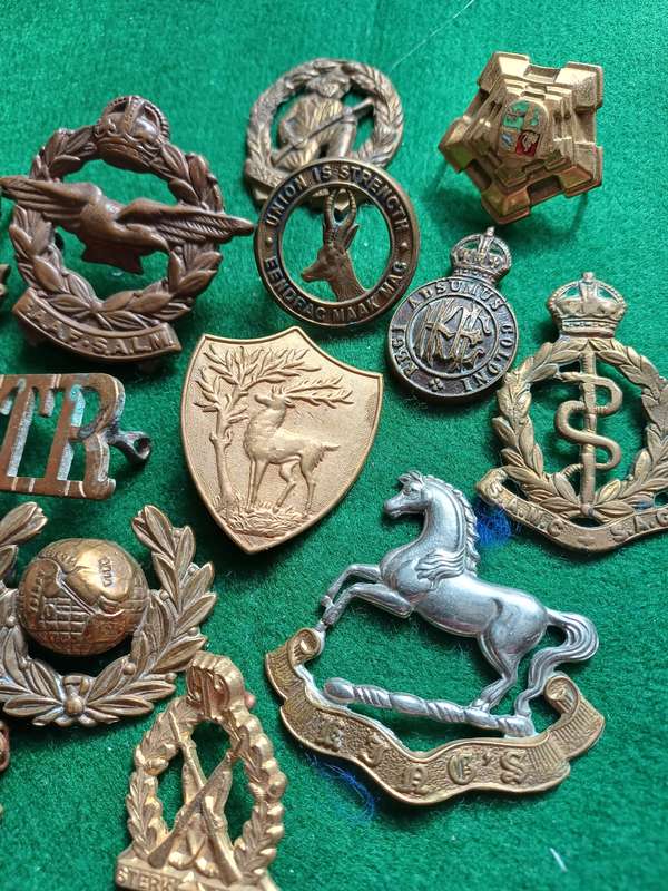 Selection of 18 Military badges, most missing lugs