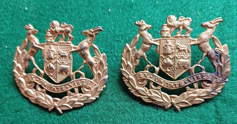 SADF, WO 1 brass sleeve badge pair