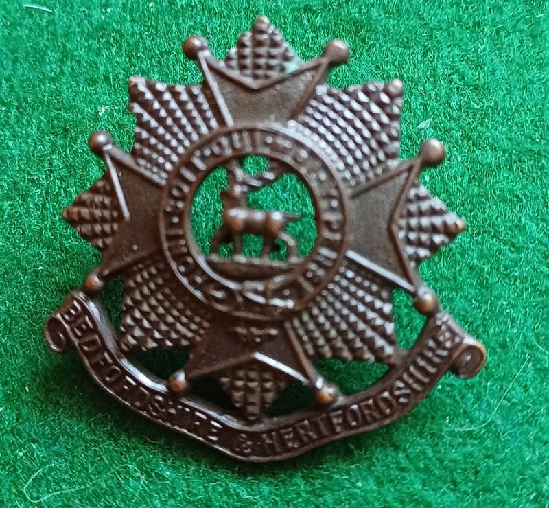 British Army, Beds & Herts bronze Officer's collar