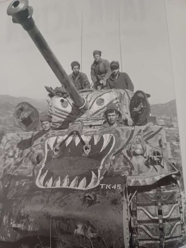 Tank Action: from the great war to the Gulf war by George Forty
