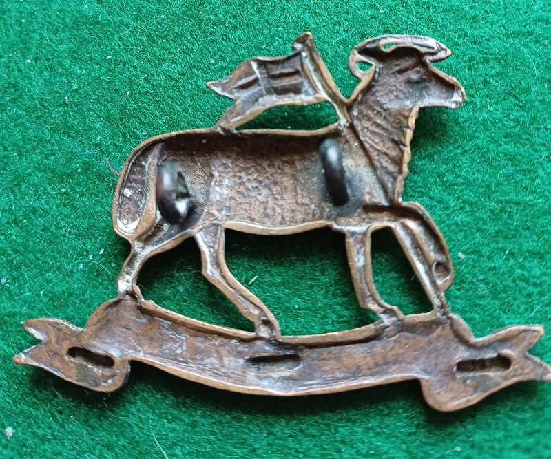 British Army, Queen's West Surrey regt, BiM cap badge, lugs