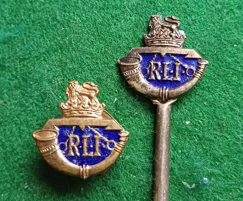 SA Rand Light Infantry 2 x enamelled badges
