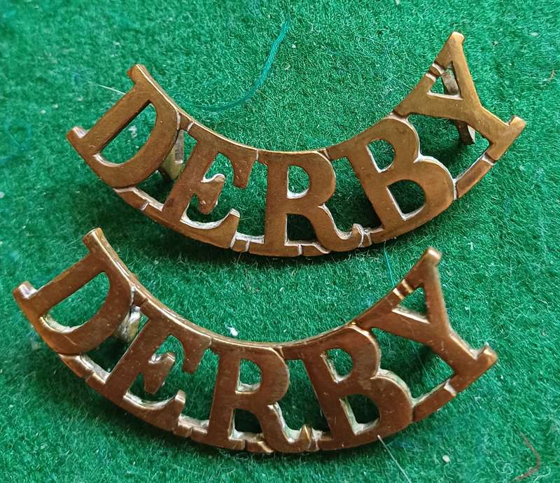 British Army, Derbyshire Regt, (Sherwood Foresters,) brass titles pair