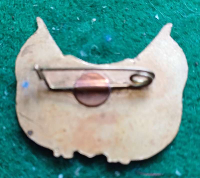 SA Orange Free State enamelled pin badge