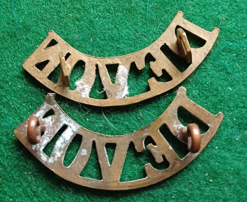 British Army Devonshire Regt brass titles pair
