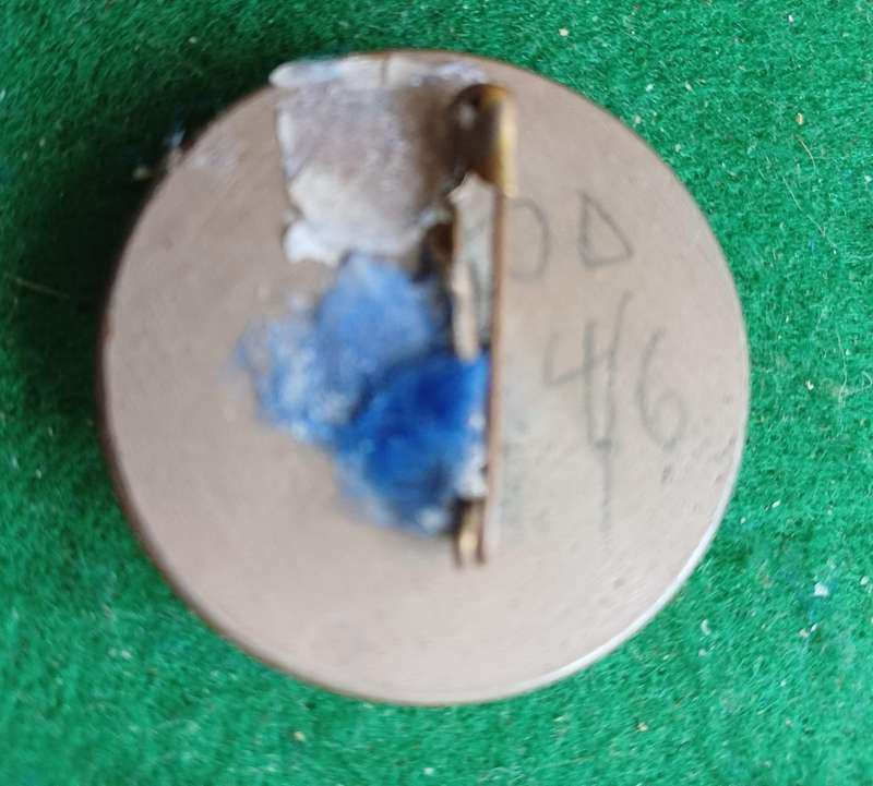 SA 1947 Royal visit Commemorative wooden button