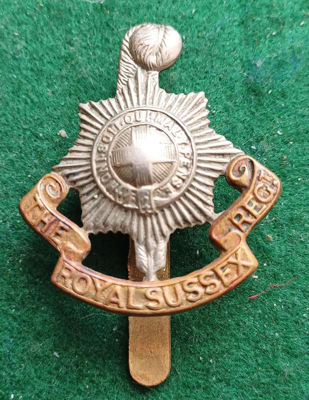 British Army, Royal Sussex Regt BiM cap badge