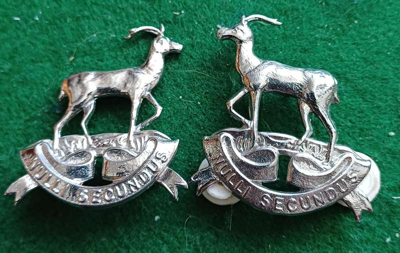 SADF Pretoria Regt chrome collars facing pair